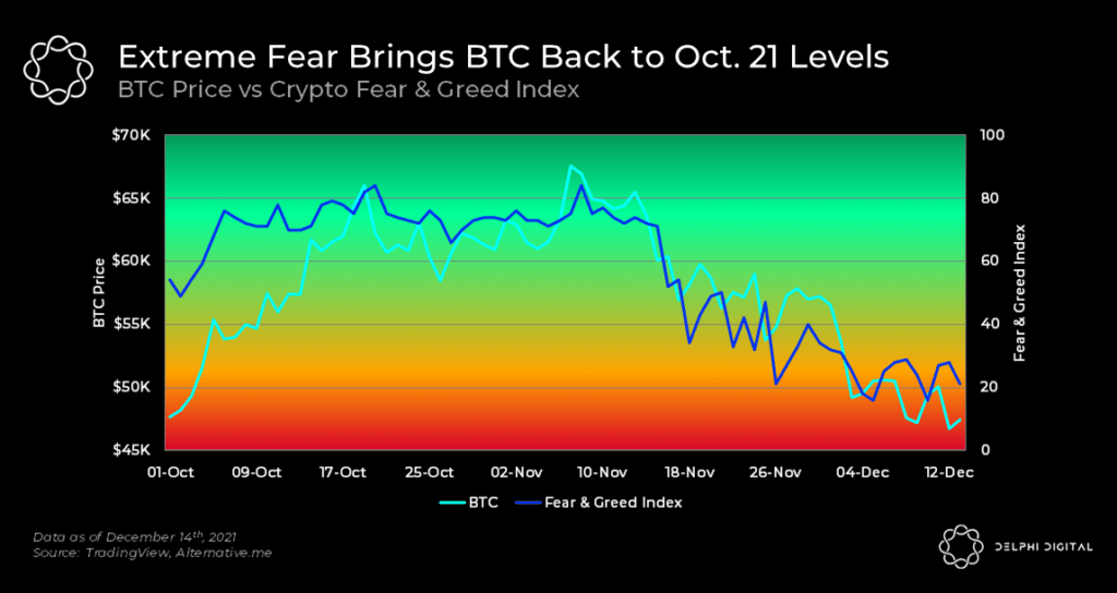 Sentiment Turns Extremely Fearful